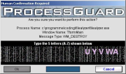 preview of the human confirmation prompt