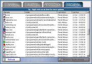 preview of the security tab